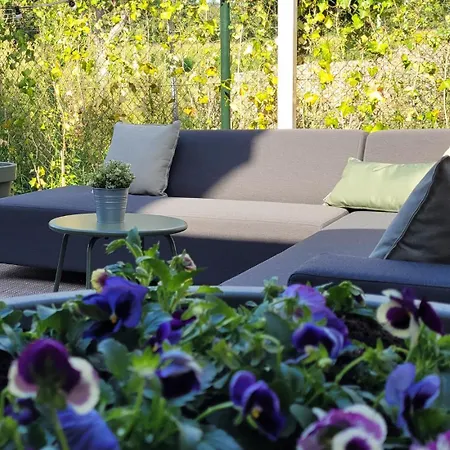 Wellness Voor 6 Personen Incl Sauna & Hottub メールッセン